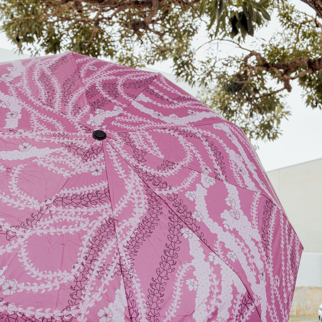 UMBRELLAS
